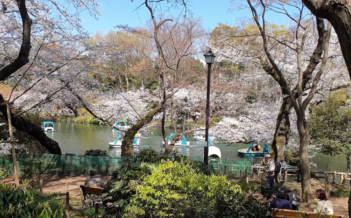 comic]ねぎしきょうこCafé吉祥寺で二番煎じ(Café吉祥寺～歡迎續