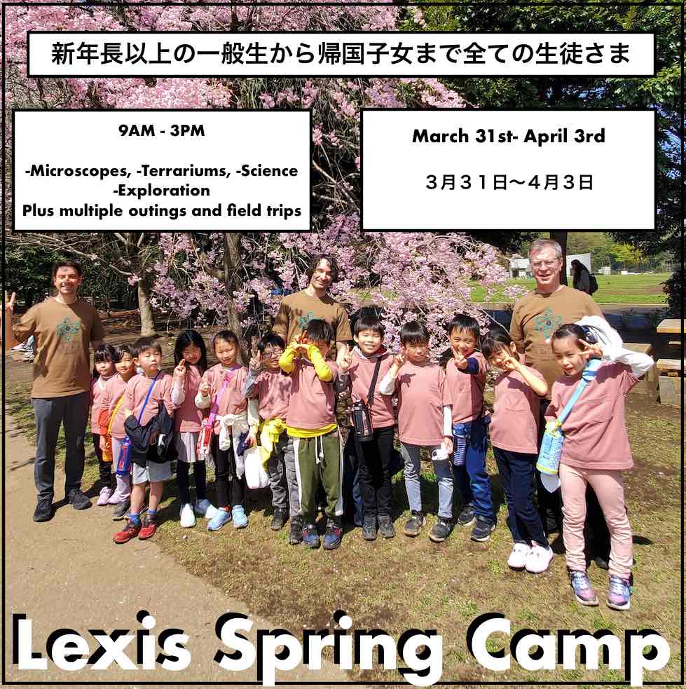 Spring Day Camp and Spring School for Kikokushijo帰国子女スプリングスクールレクシス吉祥寺2025